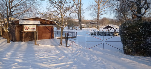 IMG 20240119 154726.jpg