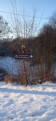 IMG 20240119 152456.jpg