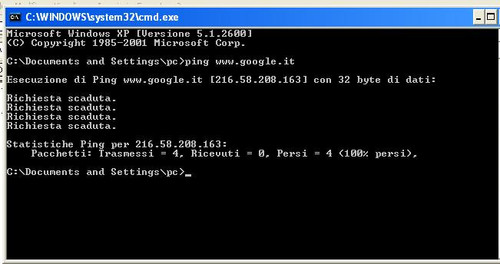 ping www.google.it
