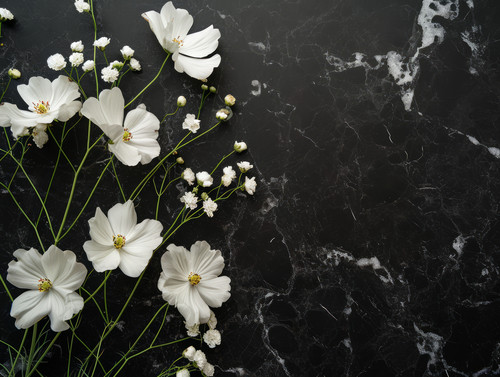 Flat lay of white flowers against black marbleminimalistic emotional ar 43 00044 02.jpg
