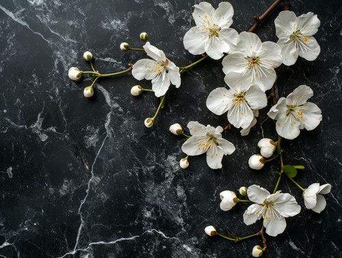 Flat lay of white flowers against black marbleminimalistic emotional ar 43 00044 03.jpg