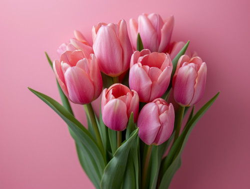 Bouquet of pink tulips on pink background Mothers day Valentines Day Birthday celebration concept Gr.jpg