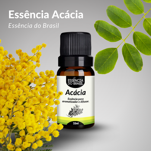 0060 Essência Acácia (2).png