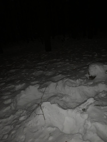 3cf3b4fd f34c 41c5 9510 c51c96ff161e.jpg