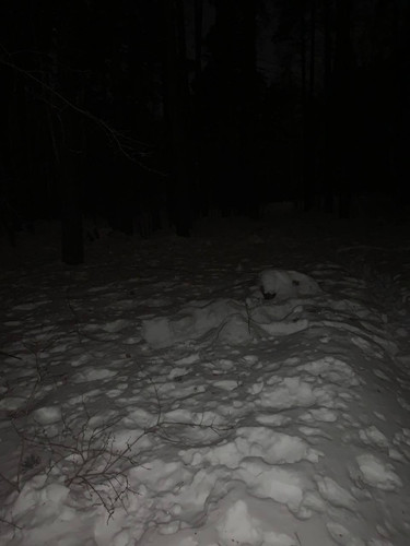 02ba6e6e f4fc 4483 8c09 10c20148685d.jpg