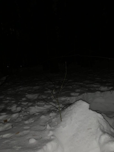 62017a76 6517 4760 9924 2865d967fdda.jpg