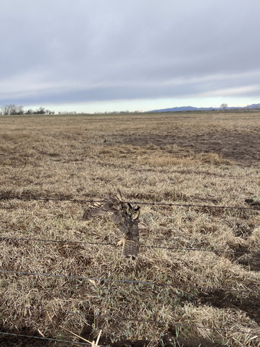 Online Converter Photo.jpg