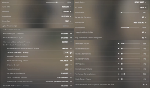 cs2 settings.png