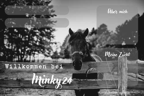 Kopie von Willkommen bei Celesiel 2.png