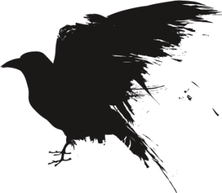 raven png 1 3502.png