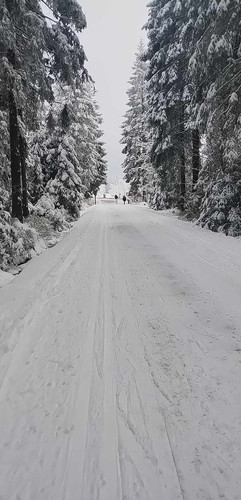 received 3851857758382438.jpg