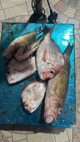 CDE6EE9B 9695 4FAA 956A E49269DA54AB.jpg