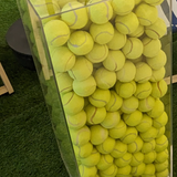 Screenshot 2024 01 22 085517.png