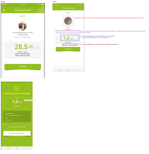 PayFC UI Issues.png