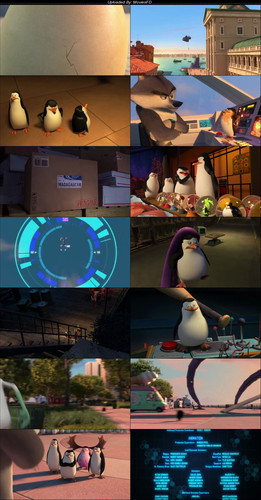[Visit MoviesFD] Penguins.Of.Madagascar.2014.BluRay.480p.[Hindi.English].ESub.jpg