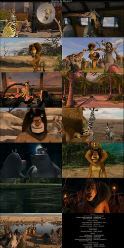 [Visit MoviesFD] Madagascar.Escape.2.Africa.2008.BluRay.480p.[Hindi.English].ESub.jpg