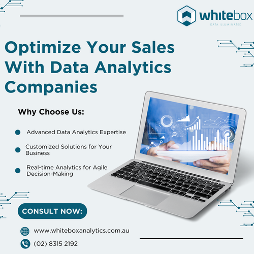 Optimize Your Sales With Data Analytics Companies.png
