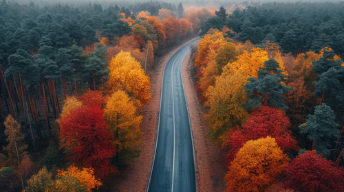 illustration on white background of a Aerial view from drone of concrete road leading through autumn.jpg