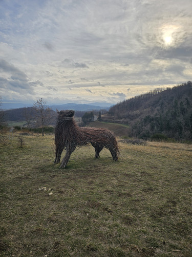 IMG 20240114 WA0047.jpg