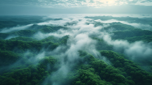 illustration on white background of a Aerial view of creeping fog in evening Foggy weather ar 169 00.jpg