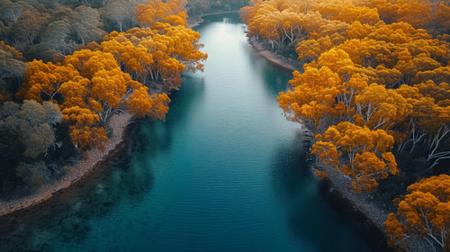 illustration on white background of a Aerial top down footage of a windy river in the Tasmania wilde.jpg
