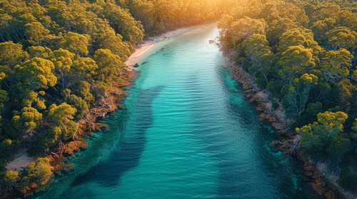 illustration on white background of a Aerial top down footage of a windy river in the Tasmania wilde.jpg