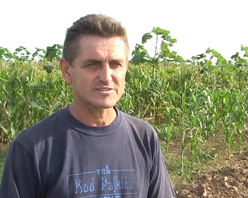 dragan peric jasenje aleksinac.jpg