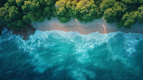 illustration on white background of a Aerial top down footage of a windy river in the Tasmania wilde.jpg