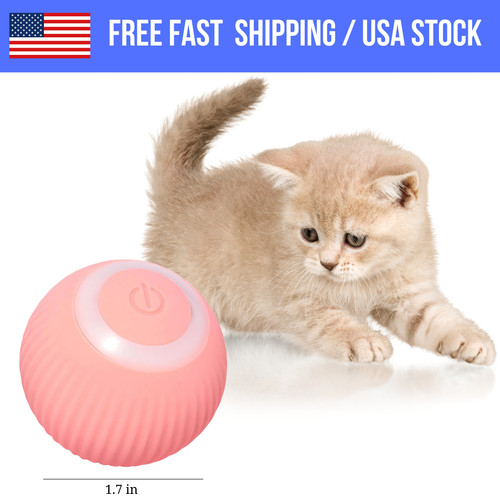 FREE SHIPPING USA STOCK.jpg