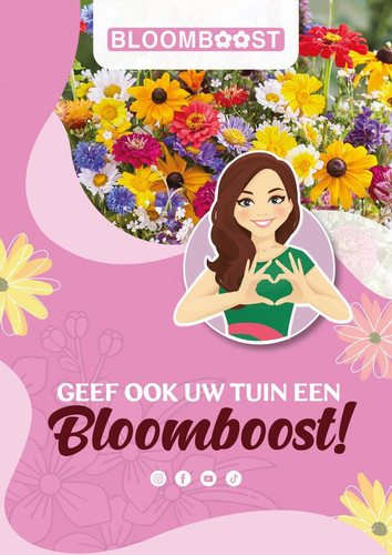 lavendel | Bloomboost.nl.jpg