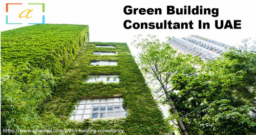 Building a Sustainable Future: Insights from a Green Building Consultant.jpg