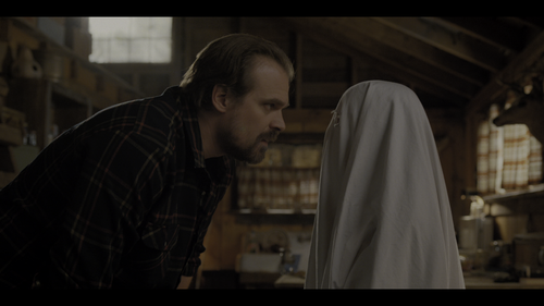 469 Stranger.Things.S02E02.Chapter.Two.Trick.or.Treat.Freak.2160p.NF.WEB DL.DTS HD.MA.5.1.HDR.HEVC.m.png