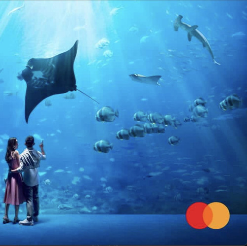 mastercard ocean.jpg