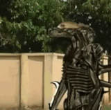 ezgif.com gif maker (1).gif