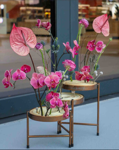 369B0D1B 7CC5 48D8 A537 EE170FE297DC.jpg