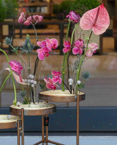 E788882B 6434 483A 9F84 8B92A5FFA320.jpg