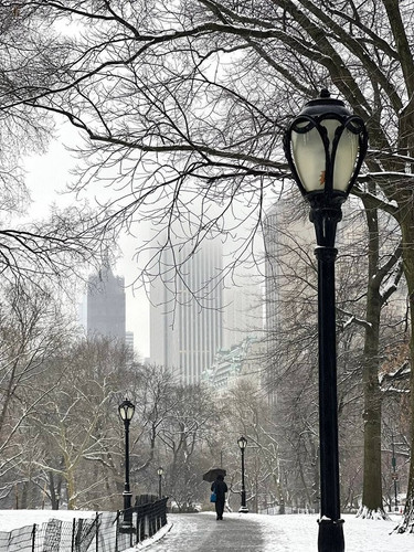 NYC sous la neige (5).jpg
