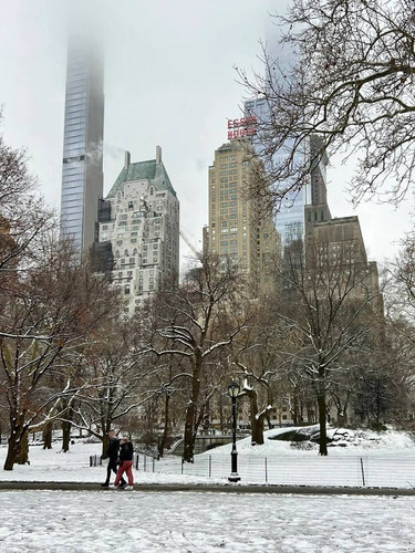 NYC sous la neige (1).jpg