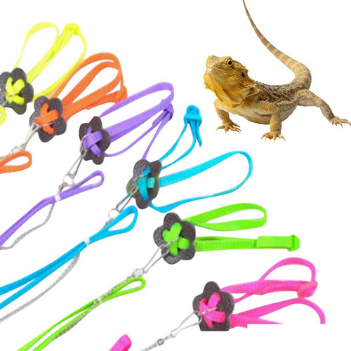 1 ca9f8fd2 092c 426c 8fe5 c0ba42d99cdd.jpg