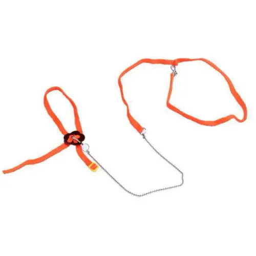 4496ea03 672d 43bf bf03 53b9a35a20fb 1.194f7436e33e4f4ce1cab260807ebb53.webp