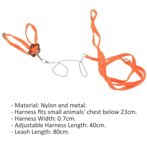 86999bf2 fc71 4341 a03f 2307be8c96ab.83a48a9f94a890339f7aa510e477aa0f.webp