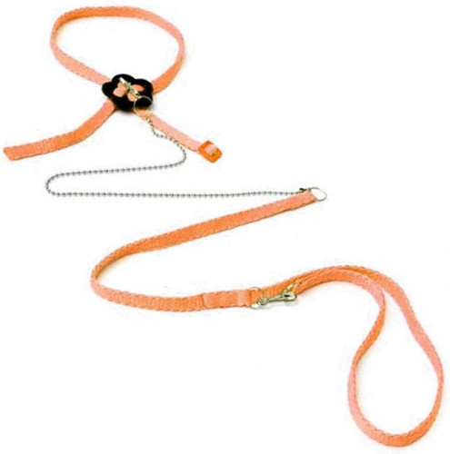 41DuCoyp1sL. AC UF1000,1000 QL80 .jpg