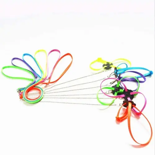 a6a9dfa9 0586 4826 9366 1fd94cb0659b.85772875b48c3bd455aafdd2746ecf5d.webp