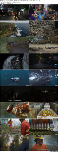 BBC.Planet.Earth.III.2023.EP07.BluRay.1080p.DTS HD.MA5.1.x265.10bit beAst preview.jpg
