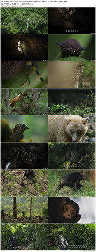 BBC.Planet.Earth.III.2023.EP05.BluRay.1080p.DTS HD.MA5.1.x265.10bit beAst preview.jpg