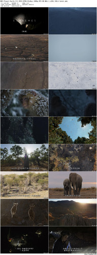 BBC.Planet.Earth.III.2023.EP06.BluRay.1080p.DTS HD.MA5.1.x265.10bit beAst preview.jpg