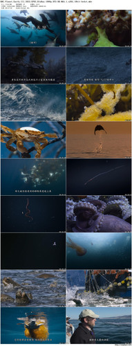 BBC.Planet.Earth.III.2023.EP02.BluRay.1080p.DTS HD.MA5.1.x265.10bit beAst preview.jpg