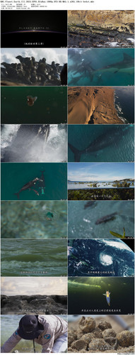 BBC.Planet.Earth.III.2023.EP01.BluRay.1080p.DTS HD.MA5.1.x265.10bit beAst preview.jpg