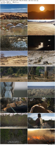 BBC.Planet.Earth.III.2023.EP03.BluRay.1080p.DTS HD.MA5.1.x265.10bit beAst preview.jpg