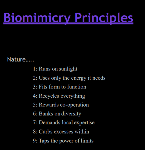 msedge NjarPT1Aux.png